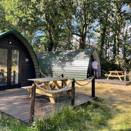 Nightjar Cabin At Cloudshill Glade Вергем Екстер'єр фото