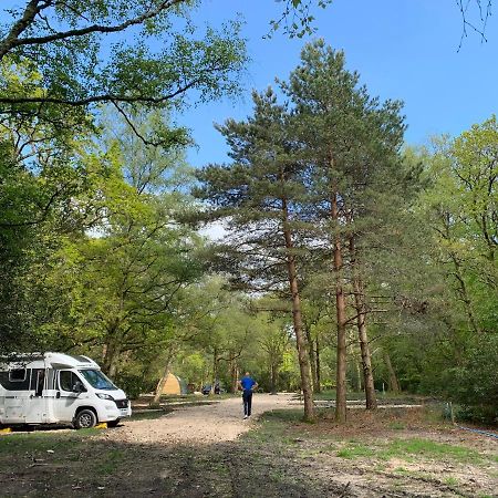 Nightjar Cabin At Cloudshill Glade Вергем Екстер'єр фото